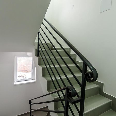 Apartmani “Lazar” I “Lena” 科帕奥尼克 外观 照片