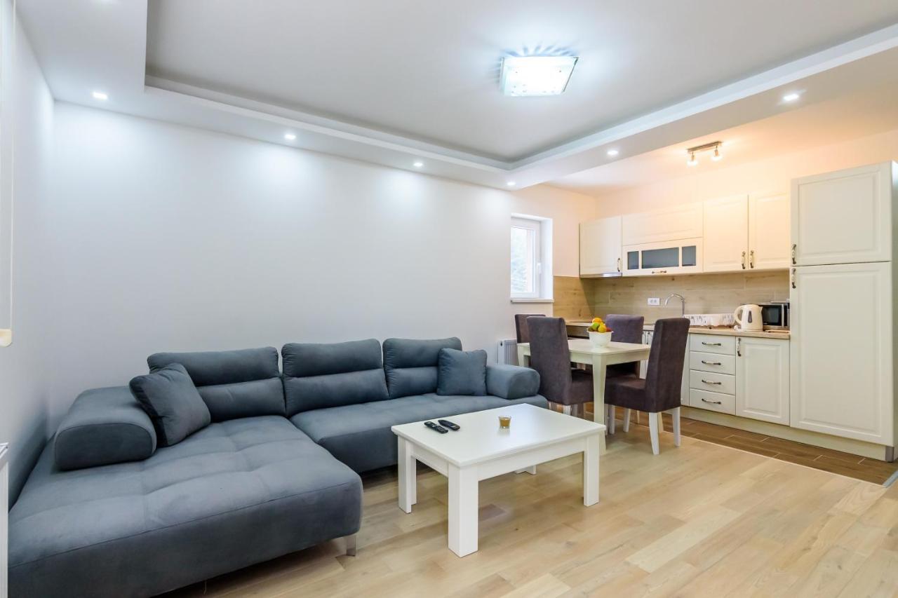 Apartmani “Lazar” I “Lena” 科帕奥尼克 外观 照片