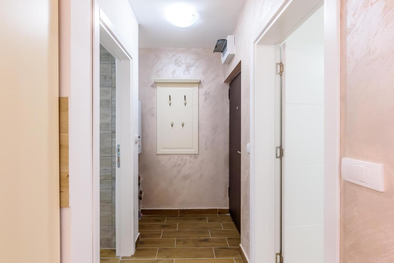 Apartmani “Lazar” I “Lena” 科帕奥尼克 外观 照片